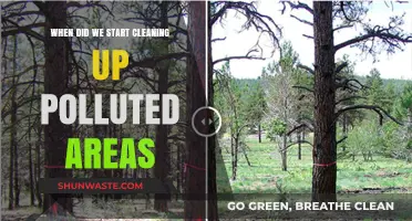 The First Steps Towards Environmental Restoration