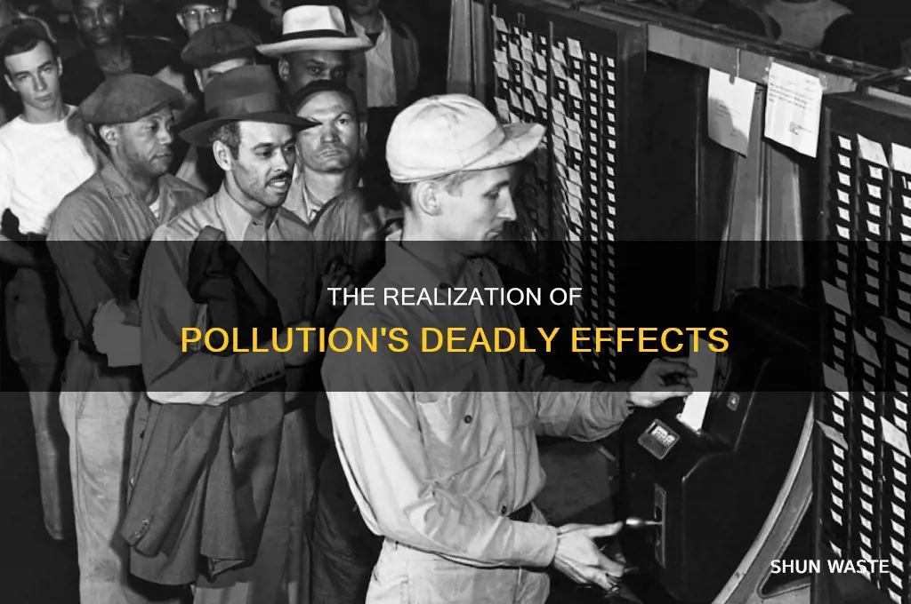 when did we start realizing that pollution was a problem