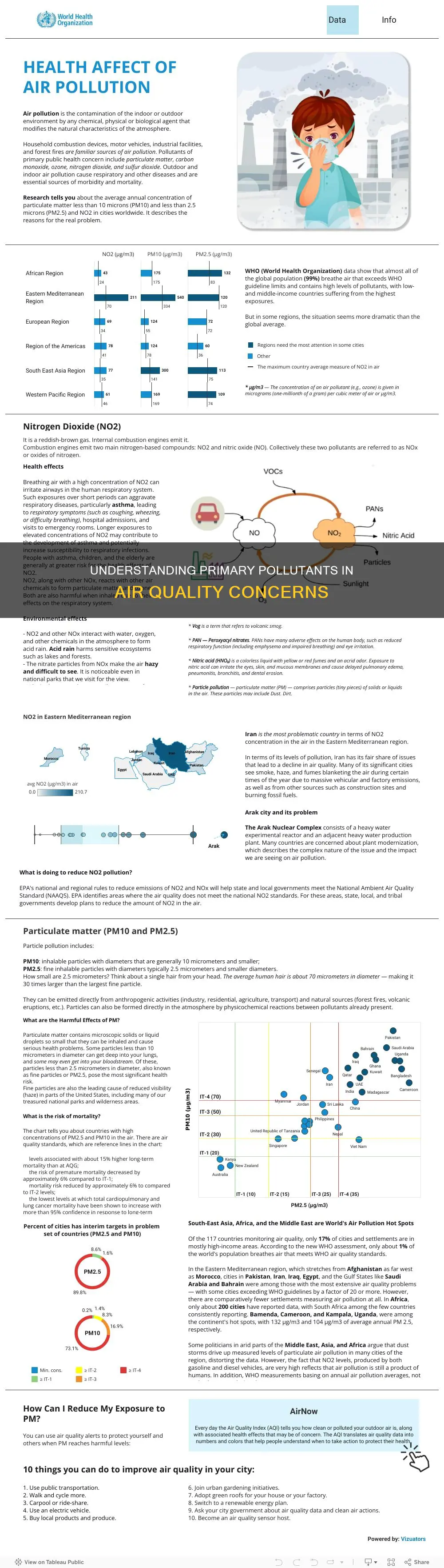 when discussing air pollution what is a primary pollutant