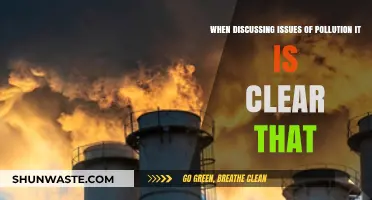 Pollution's Impact: A Clear Call to Action