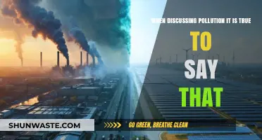 Pollution's Impact: What's the Real Truth?