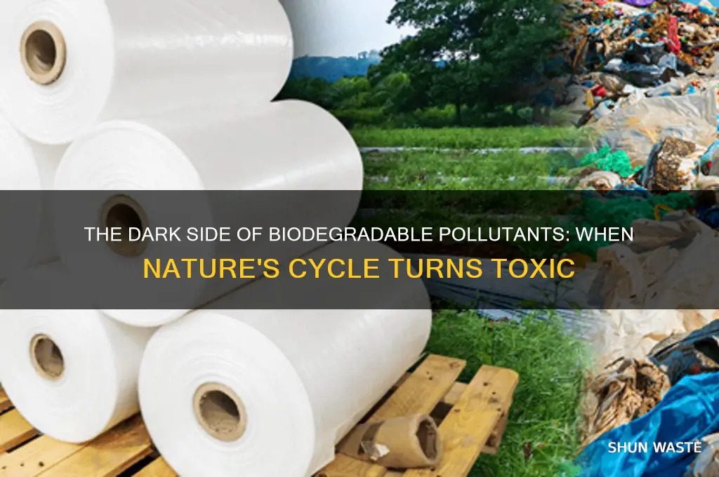 when do biodegradable pollutants become a problem