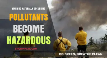 Natural Pollutants: When Do They Become a Hazard?