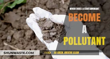 Contaminants to Pollutants: Understanding the Transformation