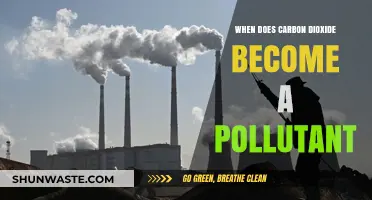 Carbon Dioxide: From Essential to Pollutant