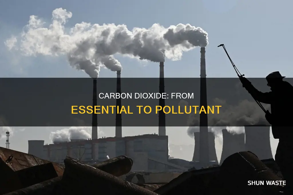 when does carbon dioxide become a pollutant