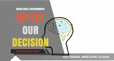 How Environmental Factors Shape Our Choices and Influence Decision-Making