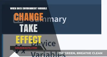 When Do Environment Variable Changes Take Effect? A Guide
