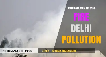 Farmers' Fires: Delhi's Pollution and Solutions