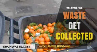 Decoding Food Waste Collection: A Guide to Timely Disposal