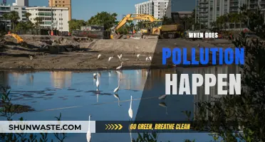 Understanding Pollution: When Does It Occur?