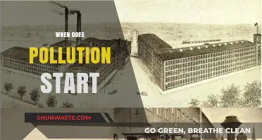 The Start of Pollution: A Historical Perspective
