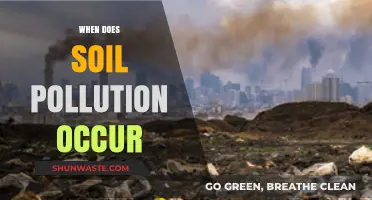 Soil Pollution: When Does It Occur?