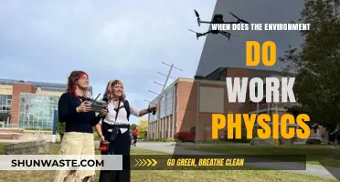 Understanding When the Environment Does Work in Physics: Key Concepts