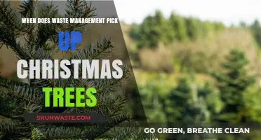 Post-Holiday Cleanup: When Does Waste Management Pick Up Christmas Trees?