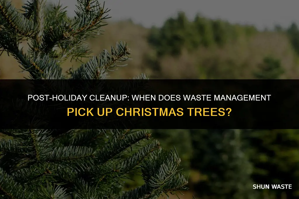 when does waste management pick up christmas trees