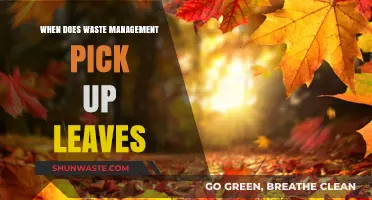 Autumn Cleanup: Waste Management's Leaf Pickup Schedule Explained
