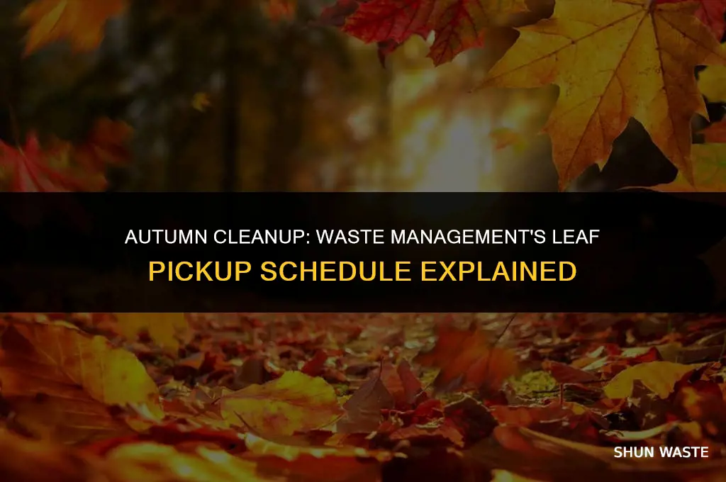 when does waste management pick up leaves