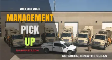 Efficient Waste Pickup: A Comprehensive Guide to Management Schedules