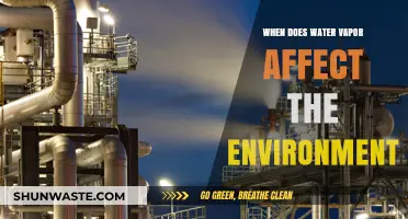 Water Vapor's Environmental Impact: When and How It Matters