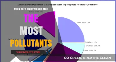 Vehicle Pollution: When Does It Peak?