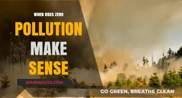 Achieving Zero Pollution: When Does It Make Sense?