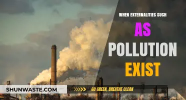 Pollution's Cost: When Markets Fail to Account for Externalities