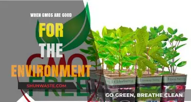 Eco-Friendly GMOs: How Genetically Modified Crops Benefit Our Planet