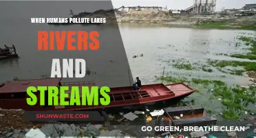 Human Impact: Polluting Our Waterways