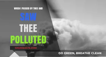 Thee, Polluted: A Tale of Passing By