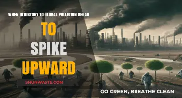 The Industrial Revolution: Pollution's Turning Point