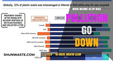 Income Growth: Pollution's Downfall?