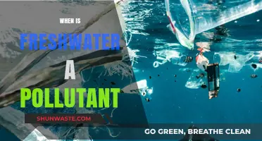 Freshwater Pollution: When Does It Become a Problem?
