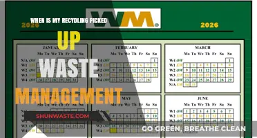 Waste Management Schedule: When Is Your Recycling Pickup?