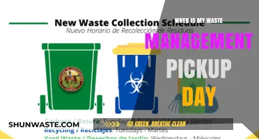 Efficient Waste Management: A Guide to Your Pickup Days