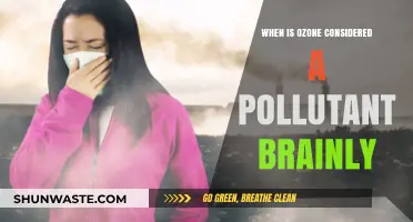 Ozone Pollution: When Does It Become Harmful?