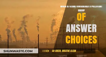 Ozone: Friend or Foe?