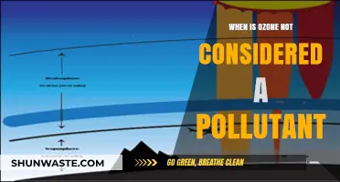 Ozone: Friend or Foe?