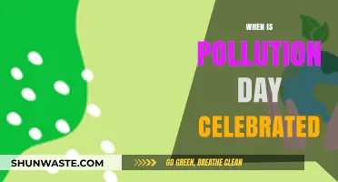 Pollution Awareness Day: A Day to Celebrate?