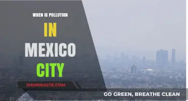 Mexico City's Pollution Problem: When is the Air Safe?