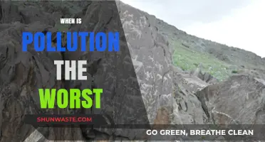 Pollution Peaks: When is the Air Most Toxic?