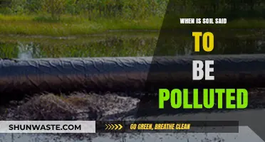 Soil Pollution: When Does It Occur?