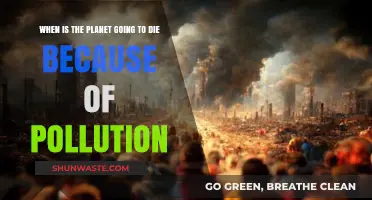 The Planet's Demise: Pollution's Deadly Timeline
