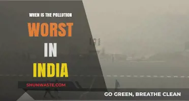 India's Pollution Crisis: When is the Air Deadliest?