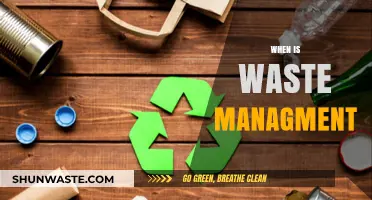 Effective Waste Management: Timing and Strategies for Success