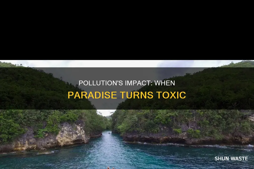 when it becomes polluted