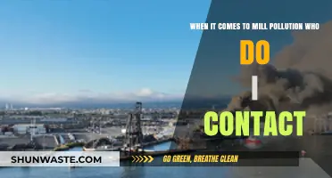 Who to Contact Regarding Mill Pollution