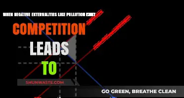 Pollution and Competition: A Race to the Bottom
