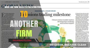 Pollution Permits: Firms Trading Emissions