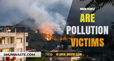 Pollution's Human Cost: Victims' Stories